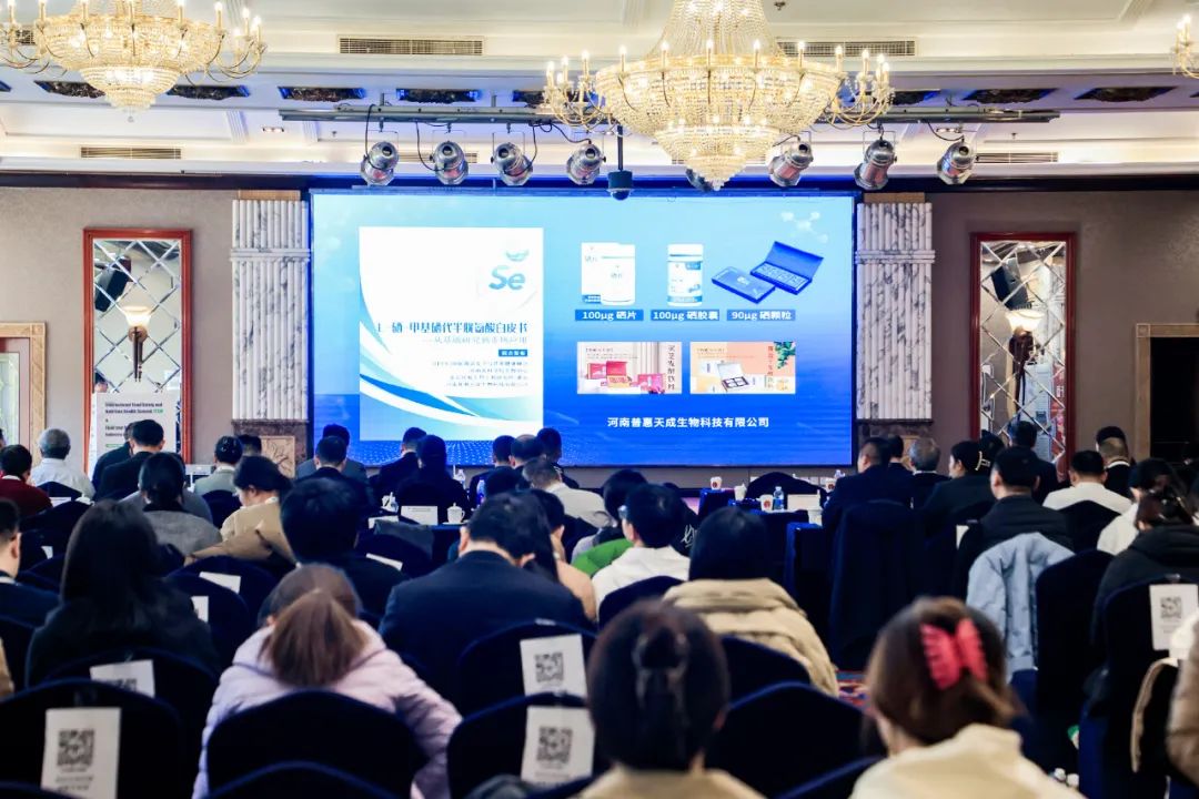 九游(JIUYOU)体育筑梦|官方网站