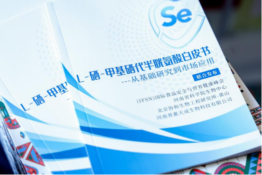 九游(JIUYOU)体育筑梦|官方网站