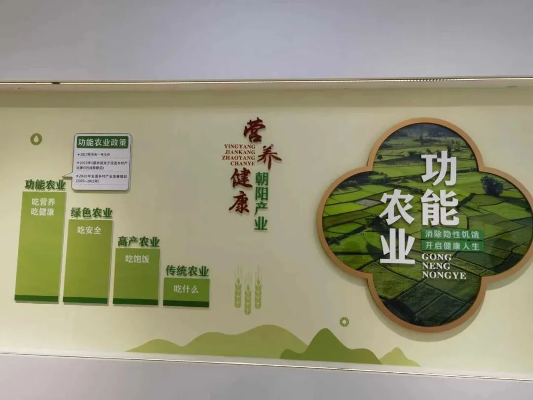 48f392da37f2be01f99b0f8c807a2089 九游(JIUYOU)体育筑梦|官方网站