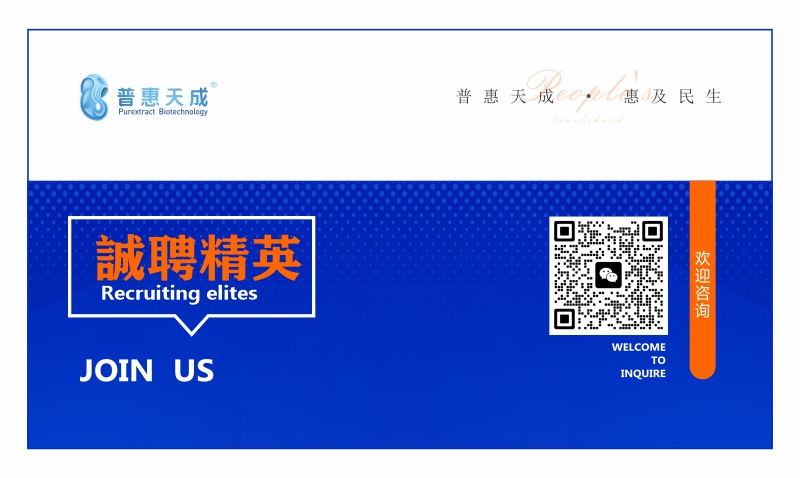 九游(JIUYOU)体育筑梦|官方网站